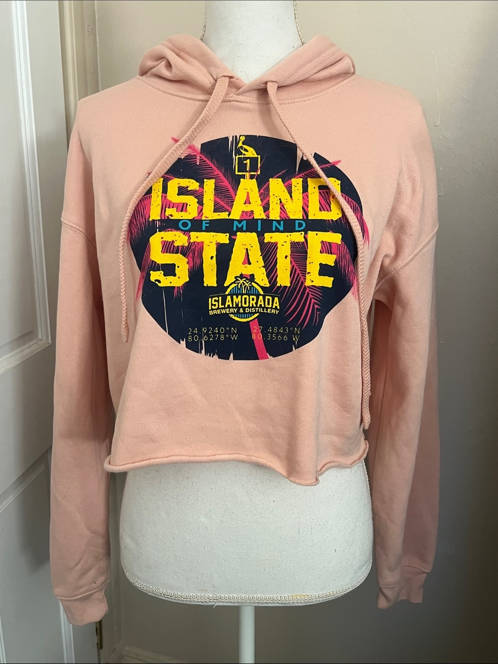 Bella Canvas Pink Cropped Graphic Hoodie